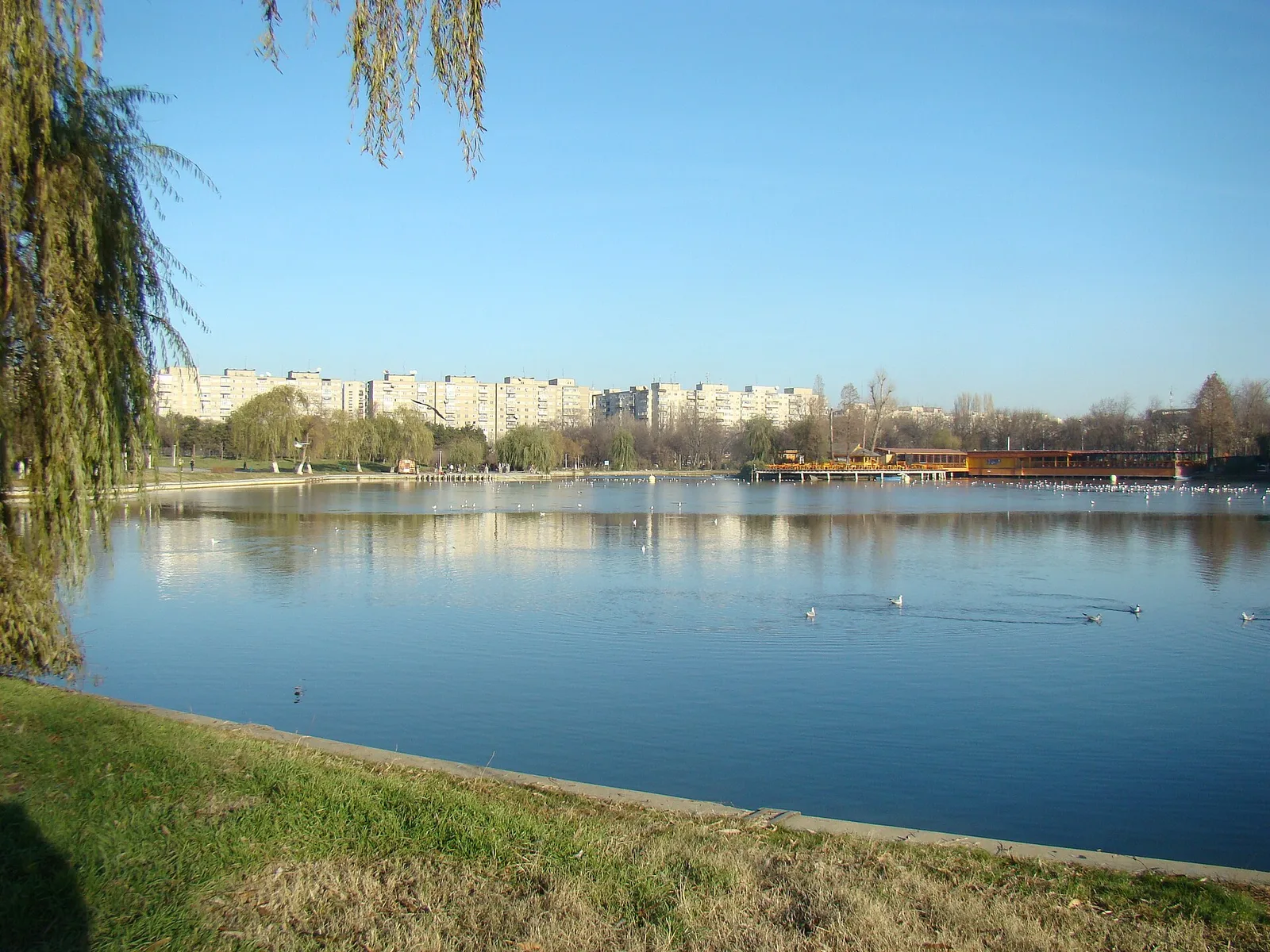 Park benches beneath trees in Bucharest