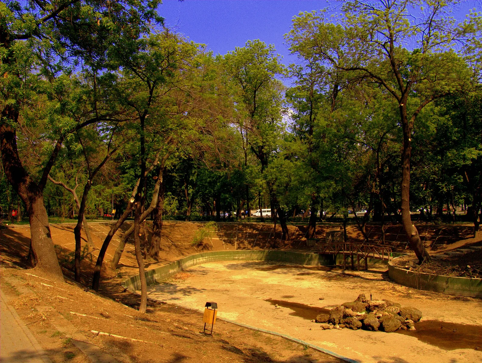 Trees and paths in Kiseleff Park